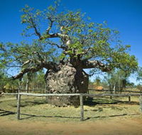 Pigeon Heritage Trail - Accommodation Daintree