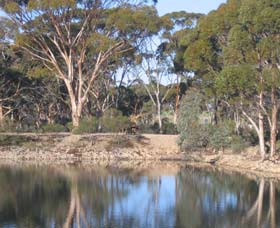 Merredin Railway Dam - Accommodation Daintree 0