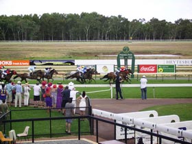 Pinjarra Race Club - Accommodation Daintree 0
