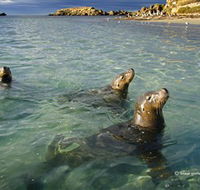 Shoalwater Islands Marine Park - Accommodation Daintree