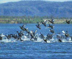Ord River - Accommodation Daintree 0