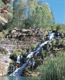 Fortescue Falls - Accommodation Daintree 0