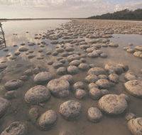 Yalgorup National Park - Accommodation Daintree