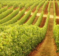 Xanadu Wines - Accommodation Daintree