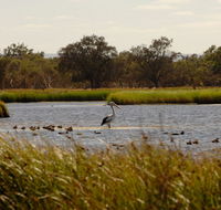 Anytime Adventures in Mandurah  the Peel Region - Accommodation Daintree