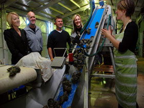 Port Lincoln SA Accommodation Daintree