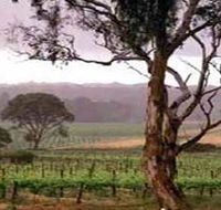Yangarra Estate Vineyard - Accommodation Daintree