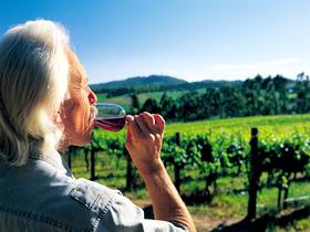 Ashton Hills Vineyard - Accommodation Daintree 0