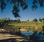 Mount Hurtle Winery home of Geoff Merrill Wines - Accommodation Daintree