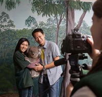 Cleland Wildlife Park - Accommodation Daintree