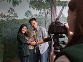 Cleland Wildlife Park - Accommodation Daintree 0