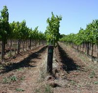 Temple Bruer Winery - Accommodation Daintree