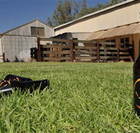 Wilkadene Woolshed Brewery - Accommodation Daintree