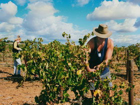Torbreck Vintners - Accommodation Daintree 0