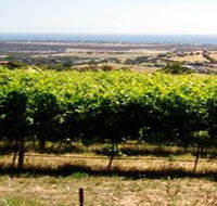 Braydun Hill Vineyard - Accommodation Daintree