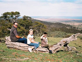 Bridle Track - Accommodation Daintree 0
