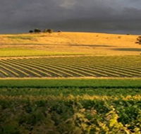 Kellermeister Wines - Accommodation Daintree