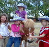 Amberainbow Pony Rides - Accommodation Daintree