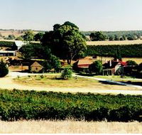 Irvine Wines - Accommodation Daintree