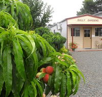 Gully Gardens - Accommodation Daintree