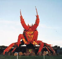 The Big Lobster - Accommodation Daintree