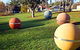 Sculpture Trail - Great Western Tiers - thumb 0