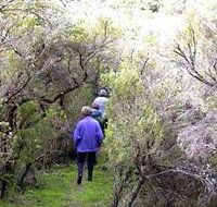 Jack And Hilda McArthur Walk - Accommodation Daintree