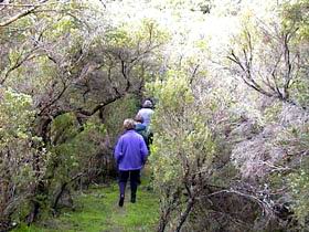Jack And Hilda McArthur Walk - Accommodation Daintree 0