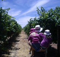 McLaren Vale Orchards - Accommodation Daintree