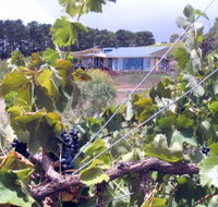 Zimmermann Wine