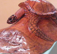 Ants Redgum Gallery - Accommodation Daintree