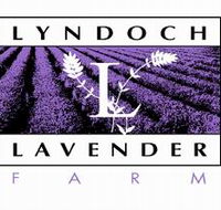 Lyndoch Lavender Farm and Cafe - Accommodation Daintree