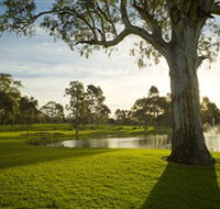Serafino Wines - Accommodation Daintree