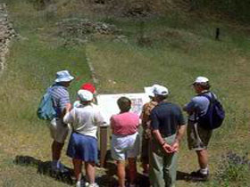 Cockatoo Valley SA Accommodation Daintree
