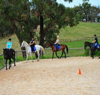 Megan Jones Riding School and Trail Rides - Accommodation Daintree