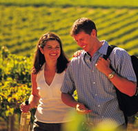Lady Bay Vineyard - Accommodation Daintree