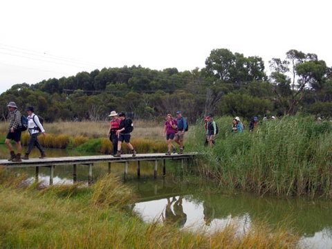 Lavender Federation Trail - Accommodation Daintree 1