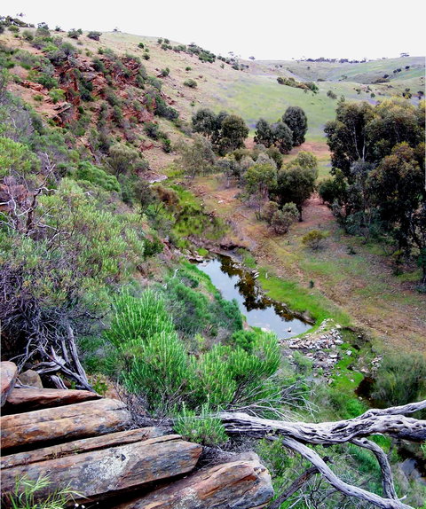 Lavender Federation Trail - Accommodation Daintree 3