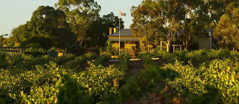 Greenock Creek Wines - Accommodation Daintree 2