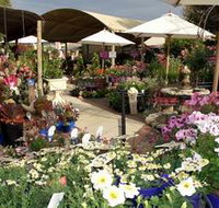 Serenity Nursery - Accommodation Daintree