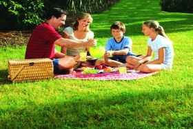 Accommodation Daintree