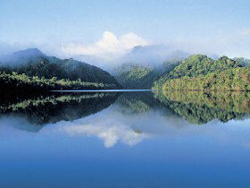  Accommodation Daintree