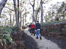 Bridport Walking Track - Accommodation Daintree 0