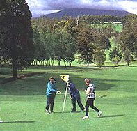 Deloraine Golf Course - Accommodation Daintree