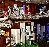 West Coast Visitor Information and Booking Centre - Accommodation Daintree