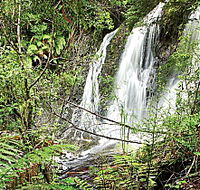 Hogarth Falls - Accommodation Daintree
