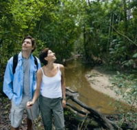 Mooloolah River National Park Jowarra Section - Accommodation Daintree