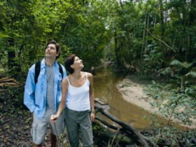 Mooloolah River National Park, Jowarra Section - Accommodation Daintree 0