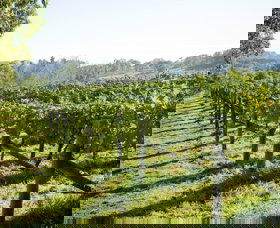 Surveyor's Hill Vineyards - Accommodation Daintree 0