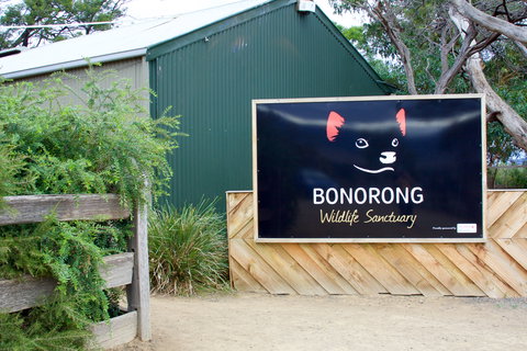 Bonorong Wildlife Sanctuary - Accommodation Daintree 1